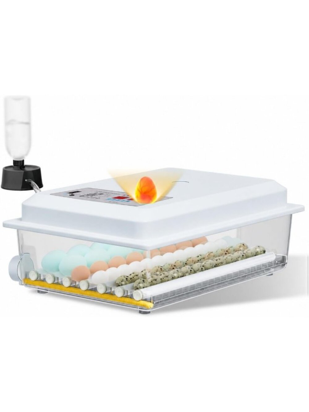 36-Egg Incubator for Chickens, Auto Turning, Temp Control, Dual Power Supply